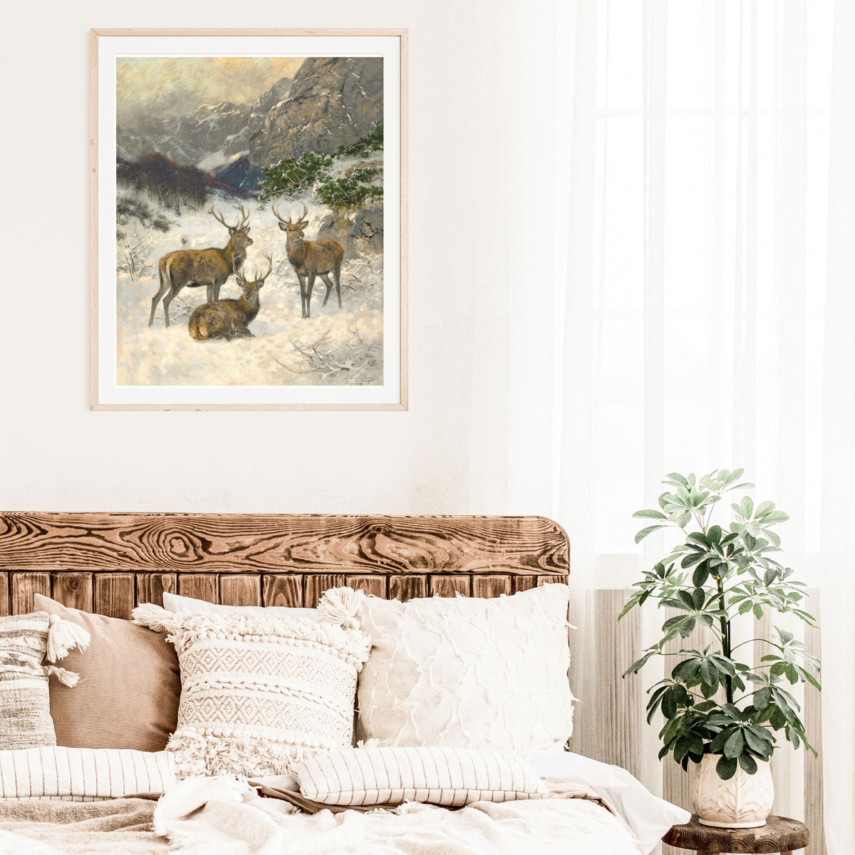 Gallery Wall Collection: Flora and Fauna of Winter