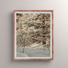 Load image into Gallery viewer, Gallery Wall Collection: Flora and Fauna of Winter
